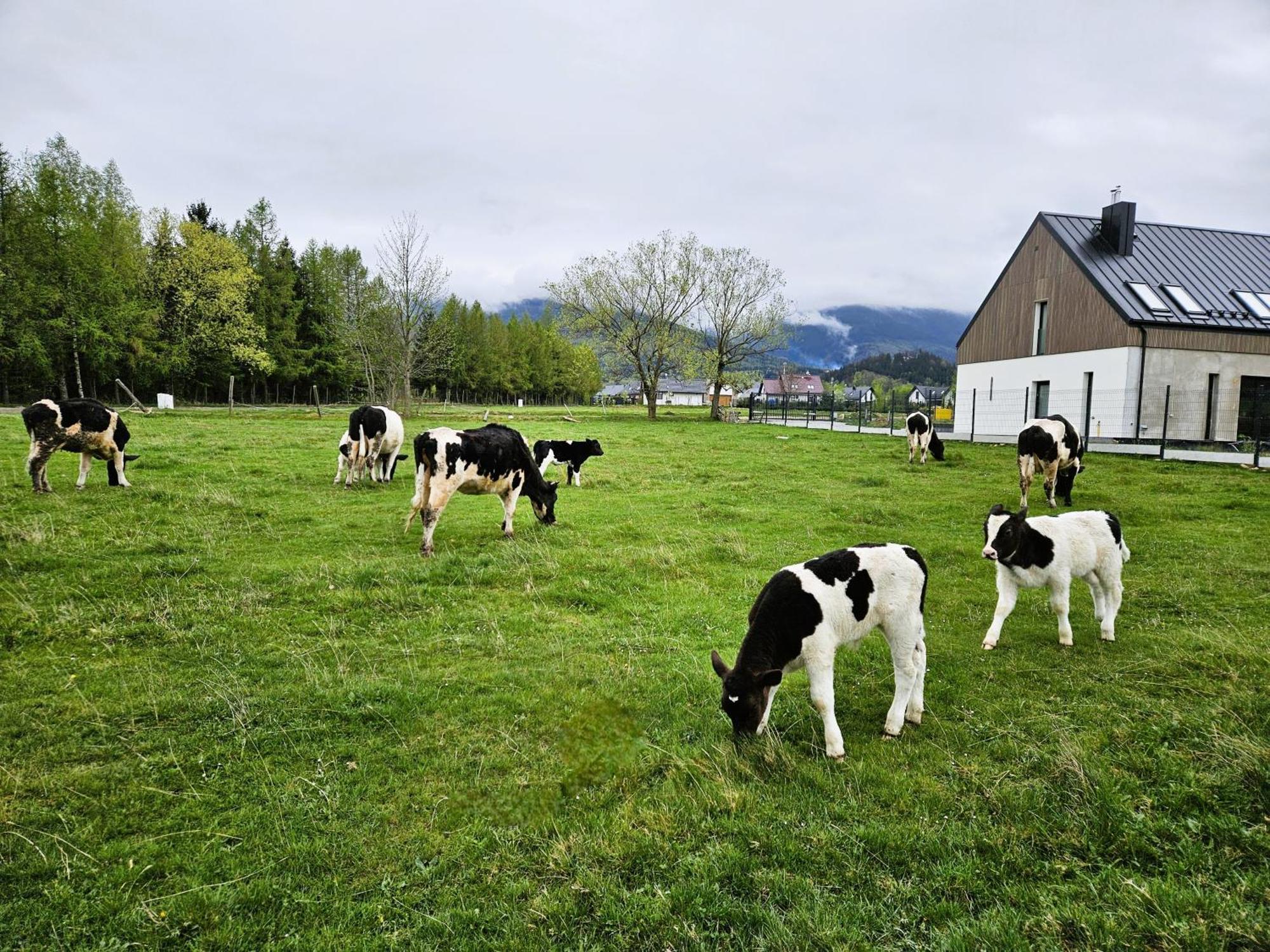 Zacisze W Karkonoszach Villa Karpacz Dış mekan fotoğraf